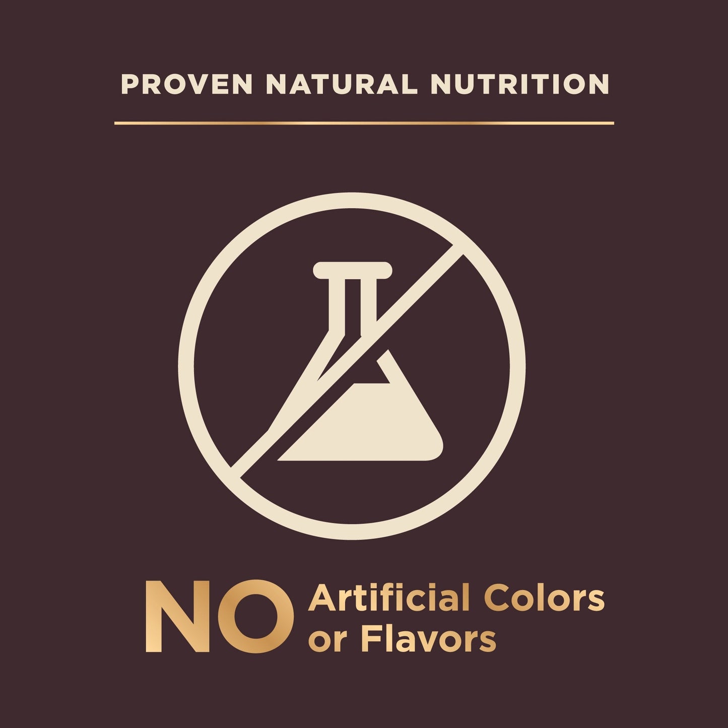 Wellness Core Rawrev Small Breed Deboned Turkey Chicken Meal - gallery image 6