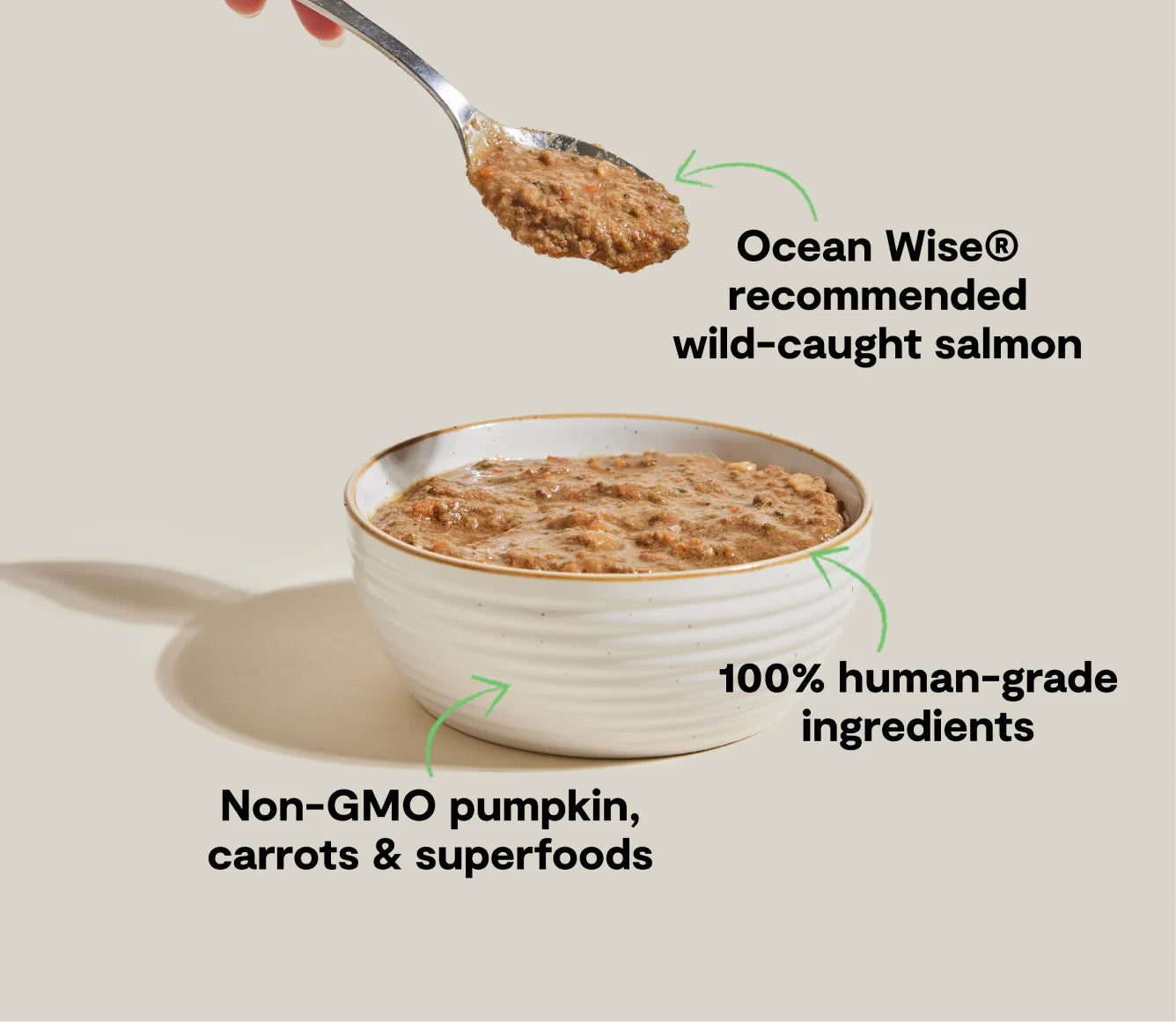 Open Farm Grain Free Wild Caught Salmon Rustic Blend Wet Cat - detail view