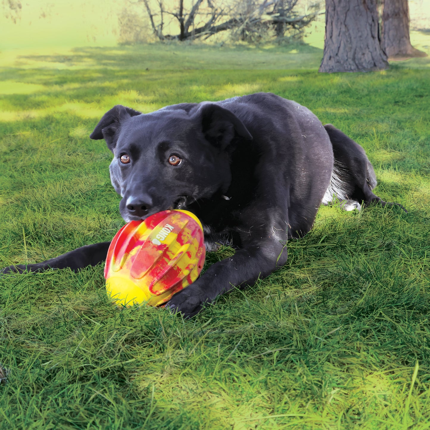 KONG Flexball Sport Football Medium Fetch Dog Toy Durable - close up view