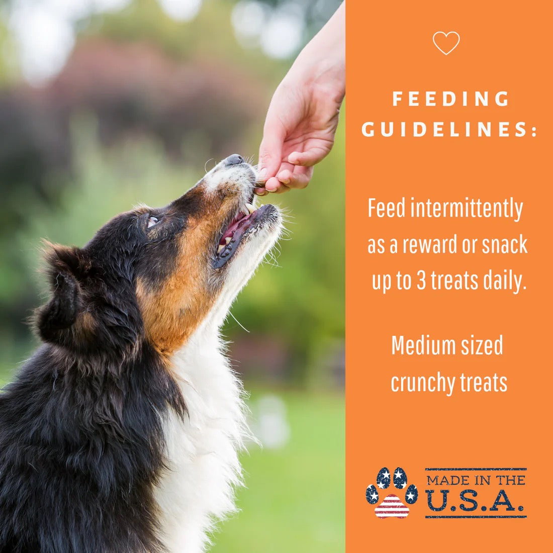 Dog Treats Premium Pumpkin Chews 6oz Training Rewards Premiu - gallery image 7