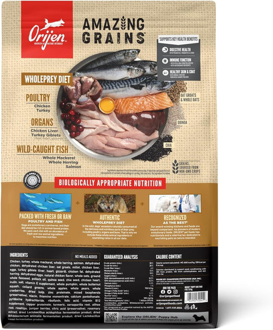 Orijen Amazing Grains Puppy Dry Dog Food Dry Dog Food - detail view