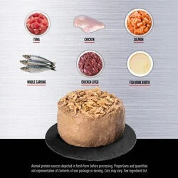Wet Cat Food Orijen Tuna Recipe 3oz Daily Meals Premium Pet - detail view