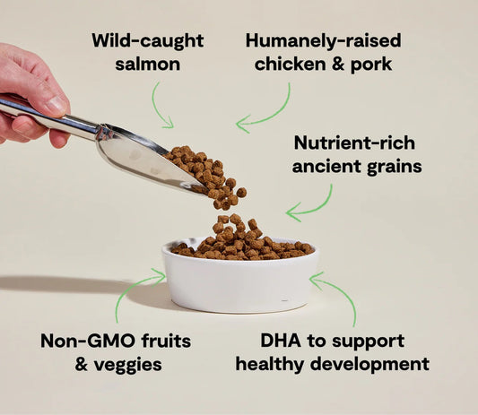 Open Farm Puppy Chicken Salmon Ancient Grains Dry Dog Food - detail view