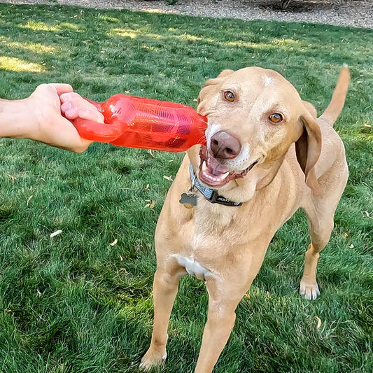 KONG Jumbler Tug Medium Large Fetch Dog Toy Durable Play - detail view