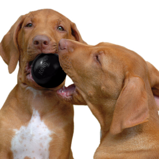 KONG Extreme Ball Fetch Dog Toy Durable Play - detail view