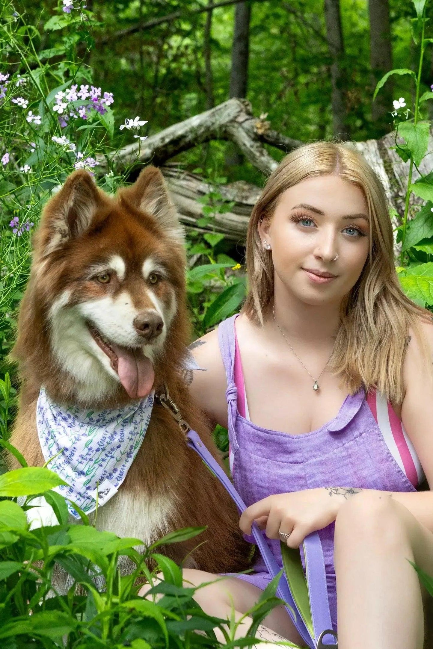 Lavender Blooms Dog Bandana Dog Bandanas Premium Pet Supply - lifestyle view