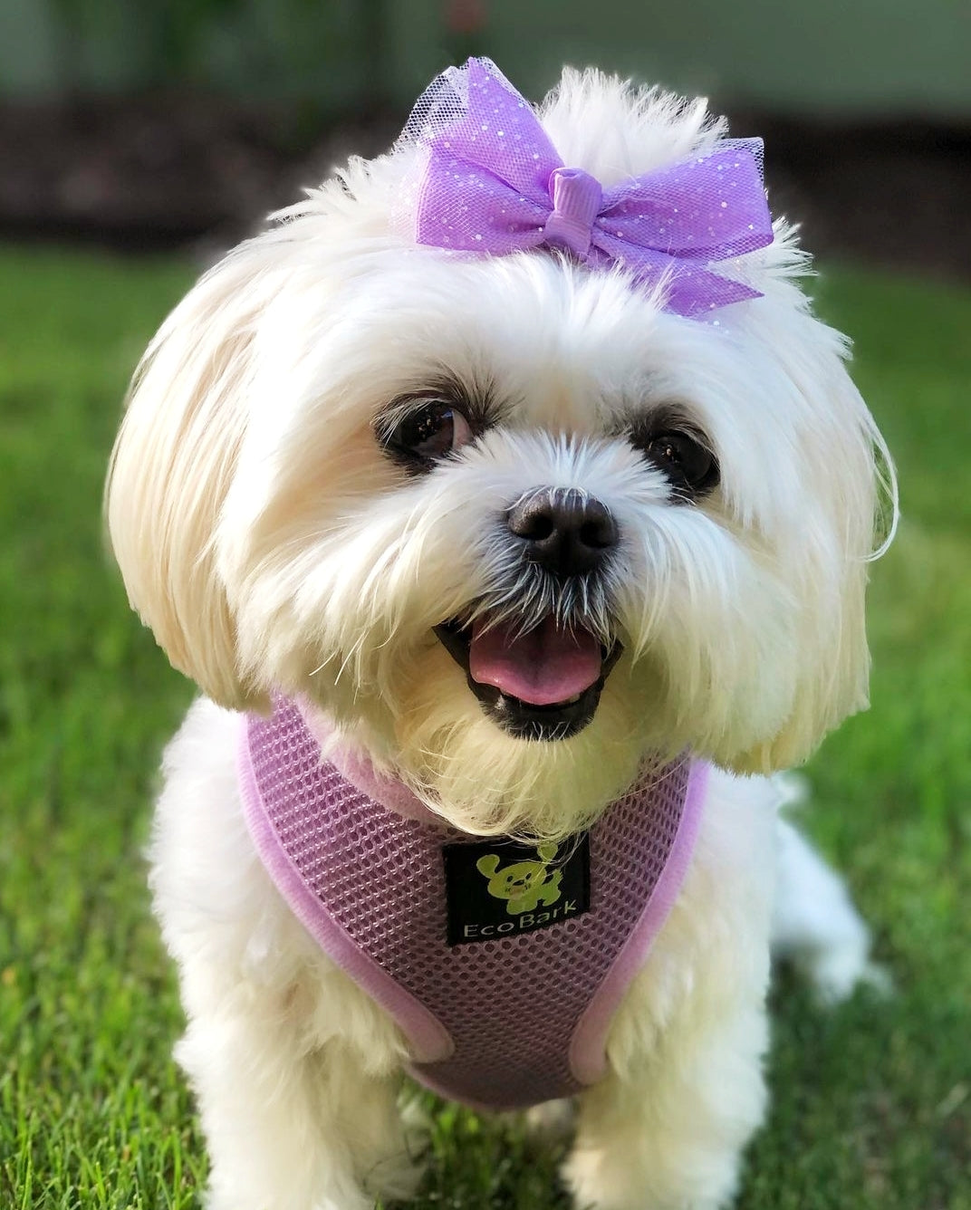 Dog Harness EcoBark Lavender Harness Over-the-Head Soft Mesh - gallery product image for dog harness