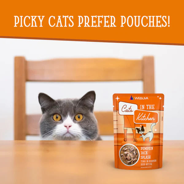 Wet Cat Food Premium Pumpkin Recipe 3oz Daily Meals Premium - gallery image 8