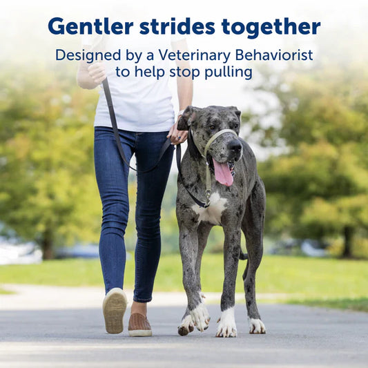 Petsafe Gentle Leader Headcollar No Pull Dog Collar Black - detail view
