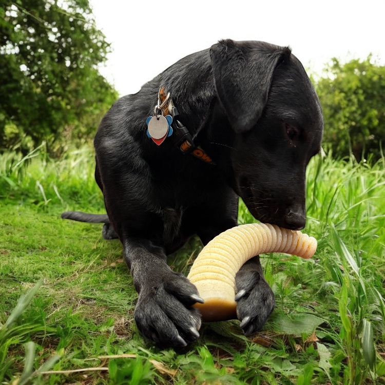 Flufflehorn Dental Antler Indestructible Nylon Dog Chew Toy - gallery image for Dog Toys