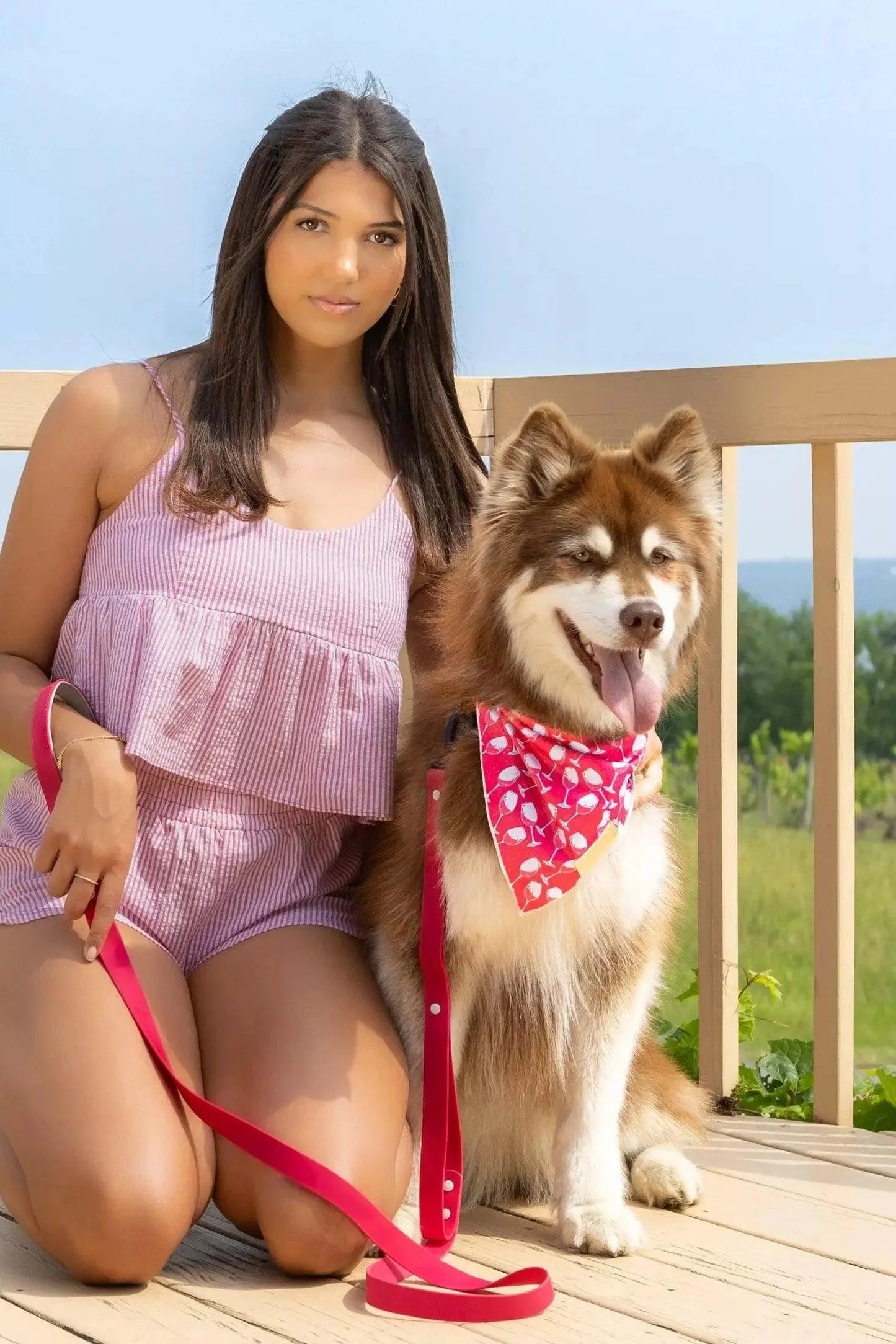 Red Mountain Syrah Dog Bandana Dog Bandanas Premium Pet - lifestyle view