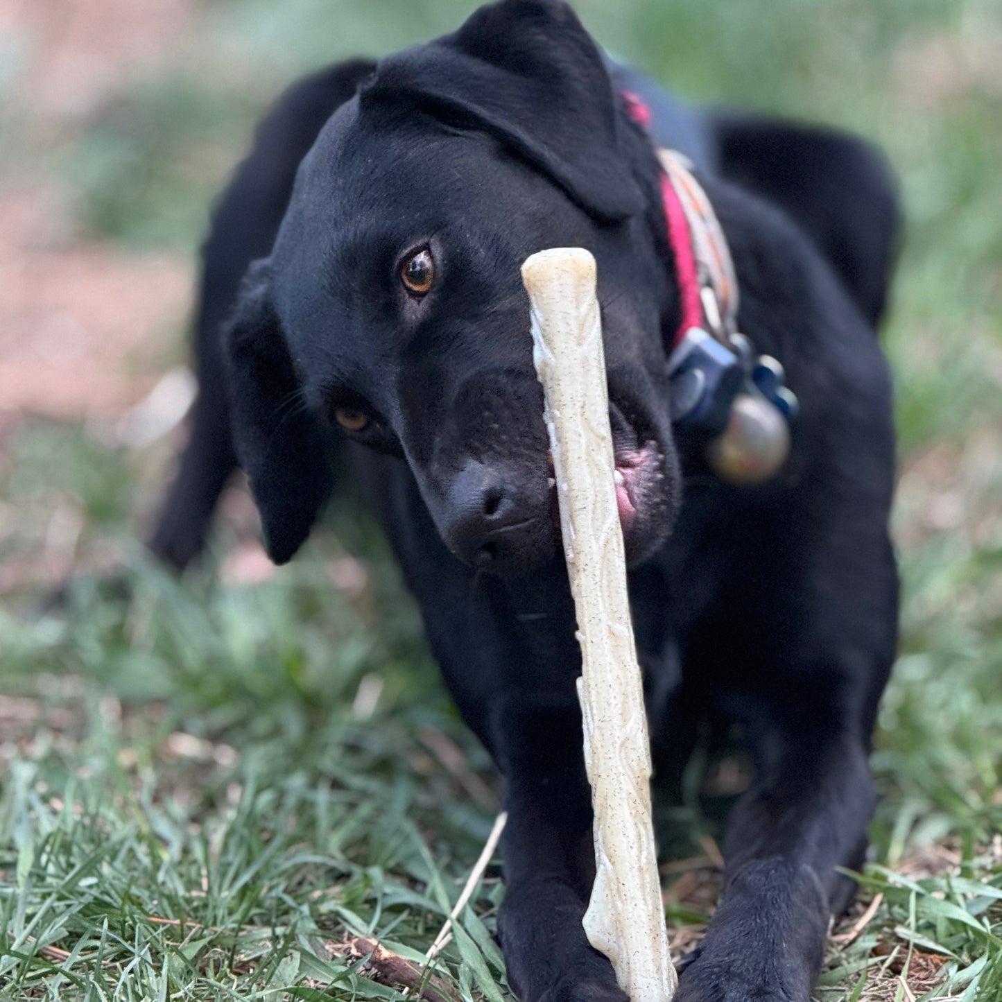 Durable Nylon Chew Stick For Power Chewers Indestructible - gallery image 11