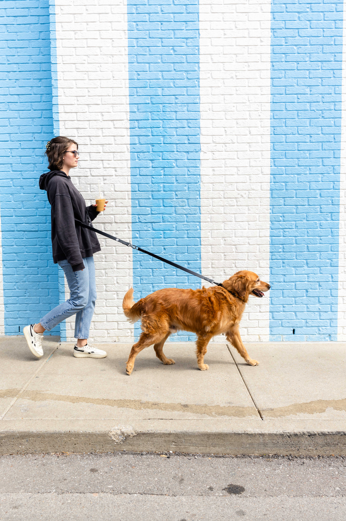 Dog Leash Leash Black Extension Everyday Walking Leash Essen - main product image for dog leash