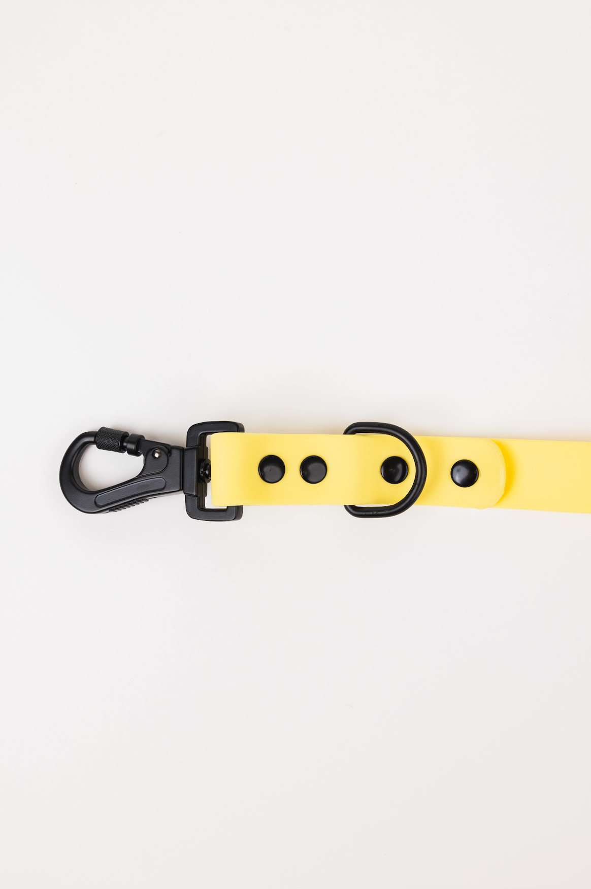 Dog Leash Accessory Daffodil Yellow Everyday Accessory Essen - close up product image for dog leash