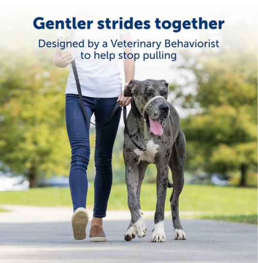Petsafe Gentle Leader Headcollar No Pull Dog Collar 30501 - detail view