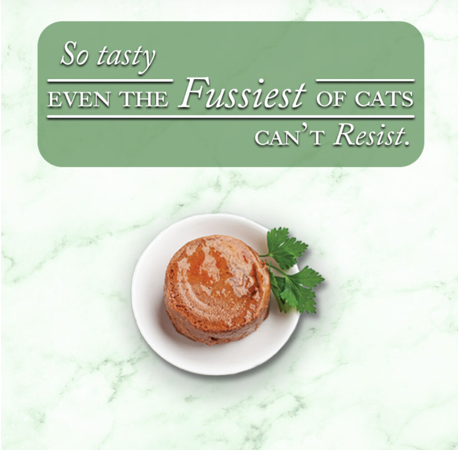 Wet Cat Food Premium Salmon Recipe 2.82oz Daily Meals Premiu - lifestyle view