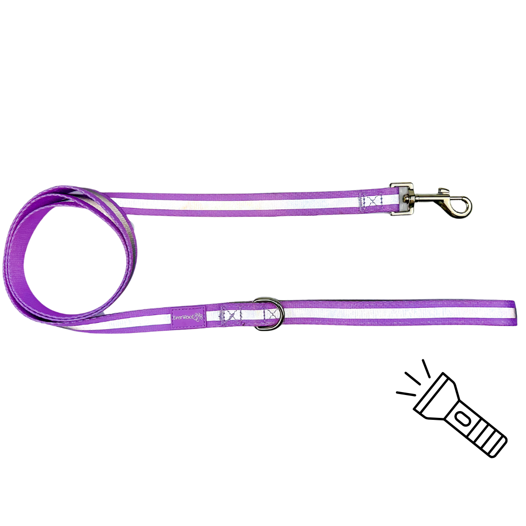 Pet Leash Leash Shine Bright Amethyst Leash for Daily Use - detail product image for pet leash