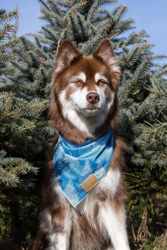 Siberian Spruce Dog Bandana Matching Keychain Dog Bandanas - detail view