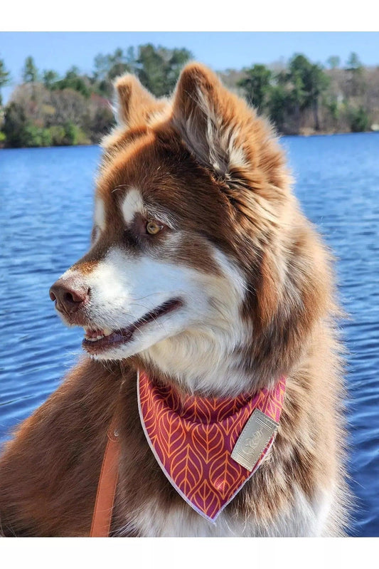 Twilight Trails Bandana Dog Bandanas Premium Pet Supply - detail view
