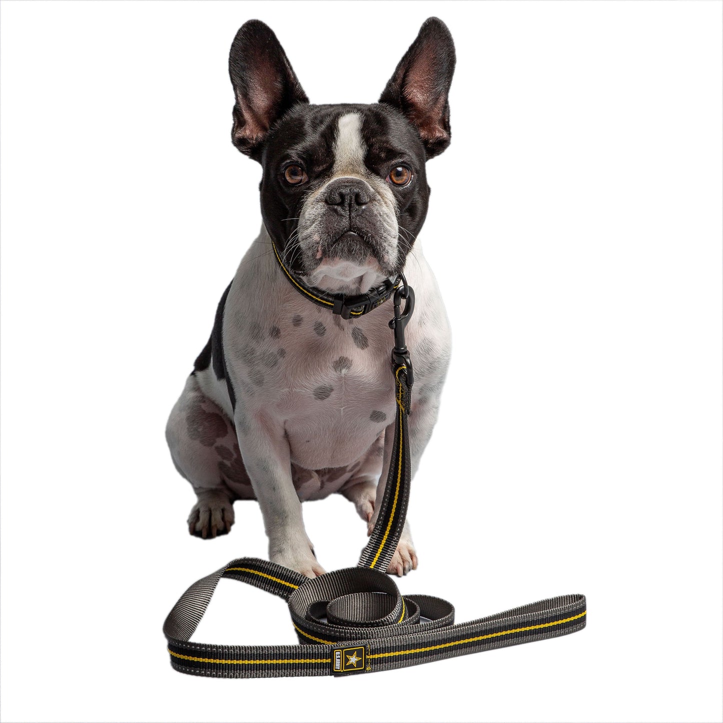 Dog Leash Durable Walking Lead Adjustable Dark Camo Premium - lifestyle view