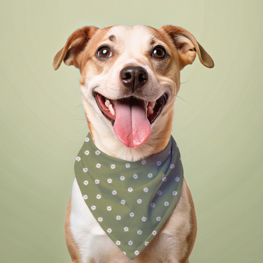 Daisy Dog Bandana - detail view