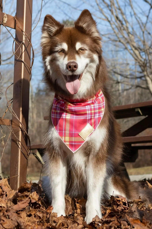 Wine Plaid Dog Bandana Dog Bandanas Premium Pet Supply - detail view