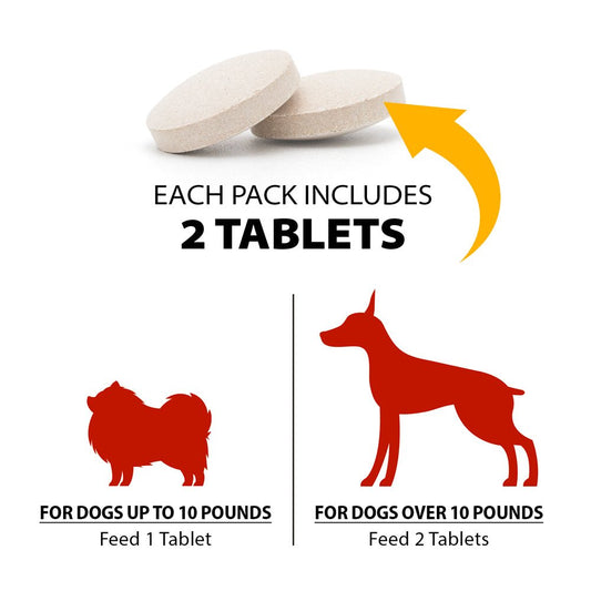 Chocolate Detox For Dogs 2 Tablets Pet Health Supplies Pet - detail view