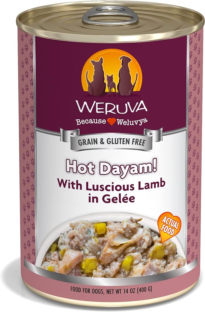 Weruva Hot Dayam Wet Dog Food 14Oz Wet Dog Food Premium - main product image