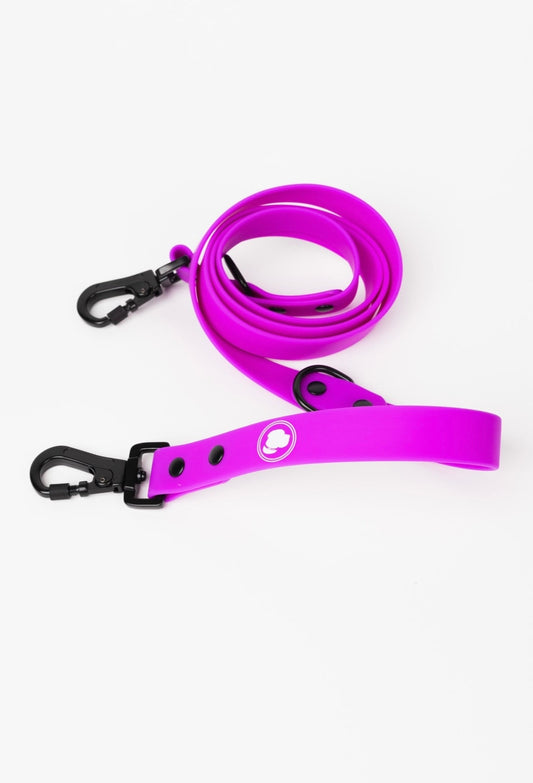 Dog Leash Leash Electric Fuchsia Everyday Walking Leash - detail product image for dog leash