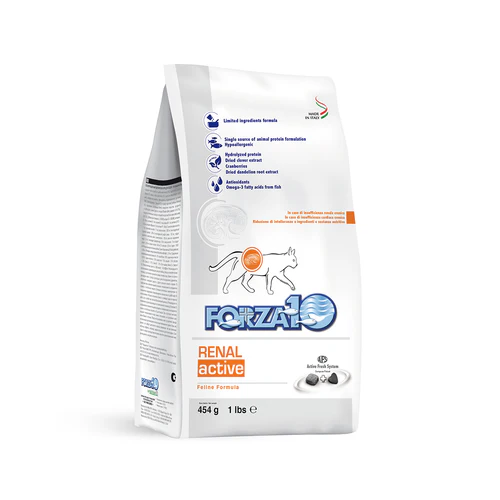 Forza10 Adult Anchovy Renal Active Cat Food Dry Cat Food - main product image