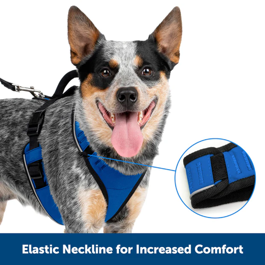 Petsafe Easysport Harness Charcoal Md Adjustable Dog Walking - detail view