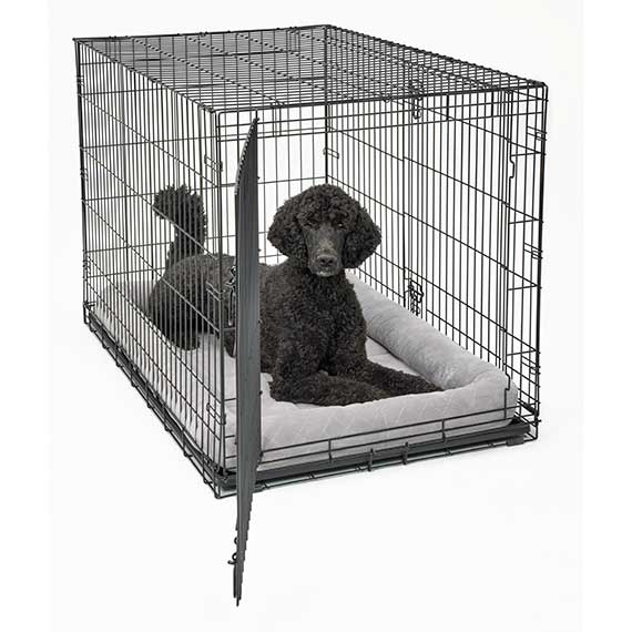 The Family Pet Dog Beds 48in Midwest Diamond Stitch Bed Gray - lifestyle view