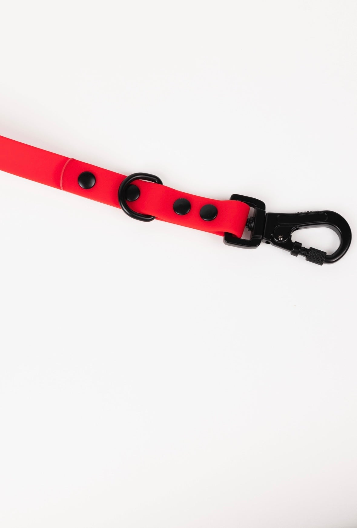 Dog Leash Leash Ruby Red Adjustable Everyday Walking Leash - size and texture image for dog leash
