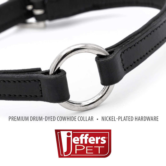 Padded Black Leather Dog Collars With O Ring And Dog - detail view