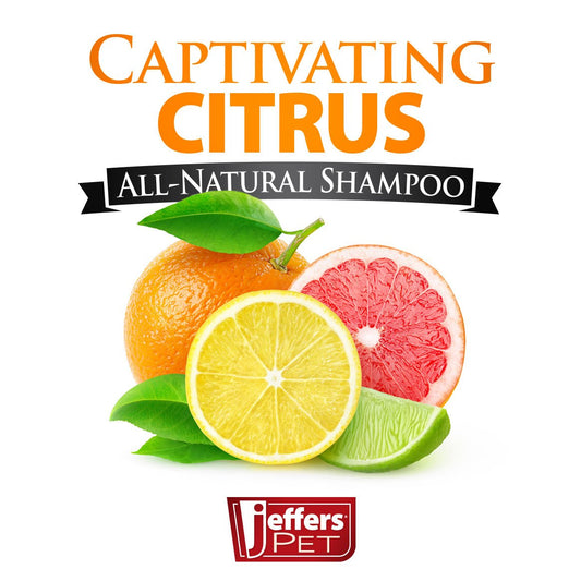 Pet Captivating Citrus All Natural Flea Bite Relief - detail view