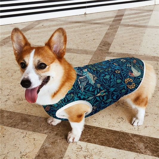 Pet Supply Morris Bird Vest for Daily Use for Comfort t main product image for dogs and cats