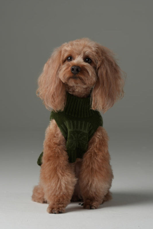 Pretzel Pet Sweater Olive Green Dog Sweaters Premium Pet - detail view