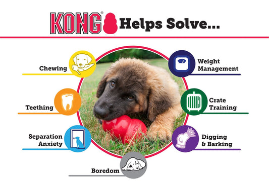 KONG Puppy Treat Stuffing Chew Dog Toy Treat Dispensing Dog - detail view