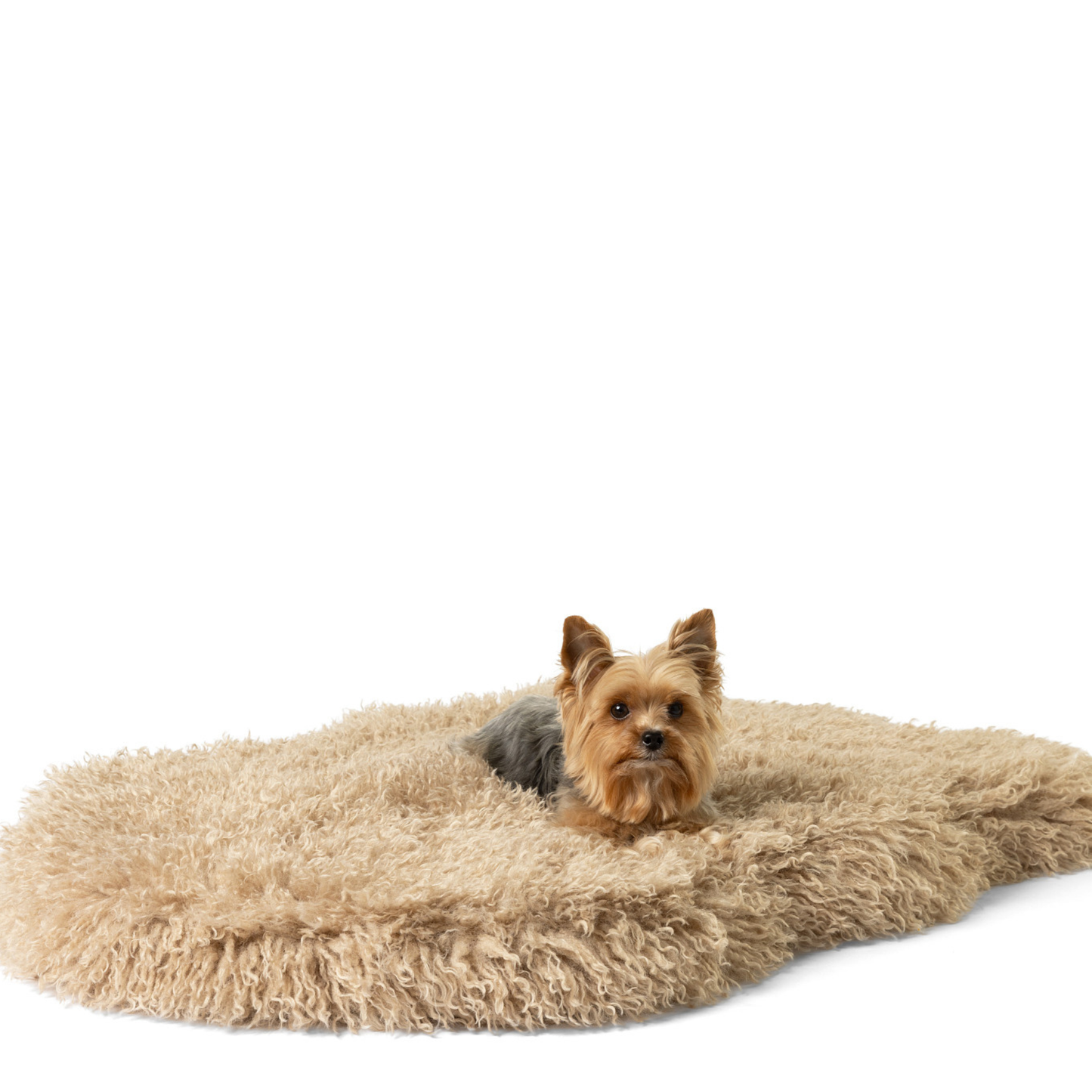 PupRug� Luxe Faux Fur Orthopedic Dog Bed - Plush Sheep Tan - gallery image 14