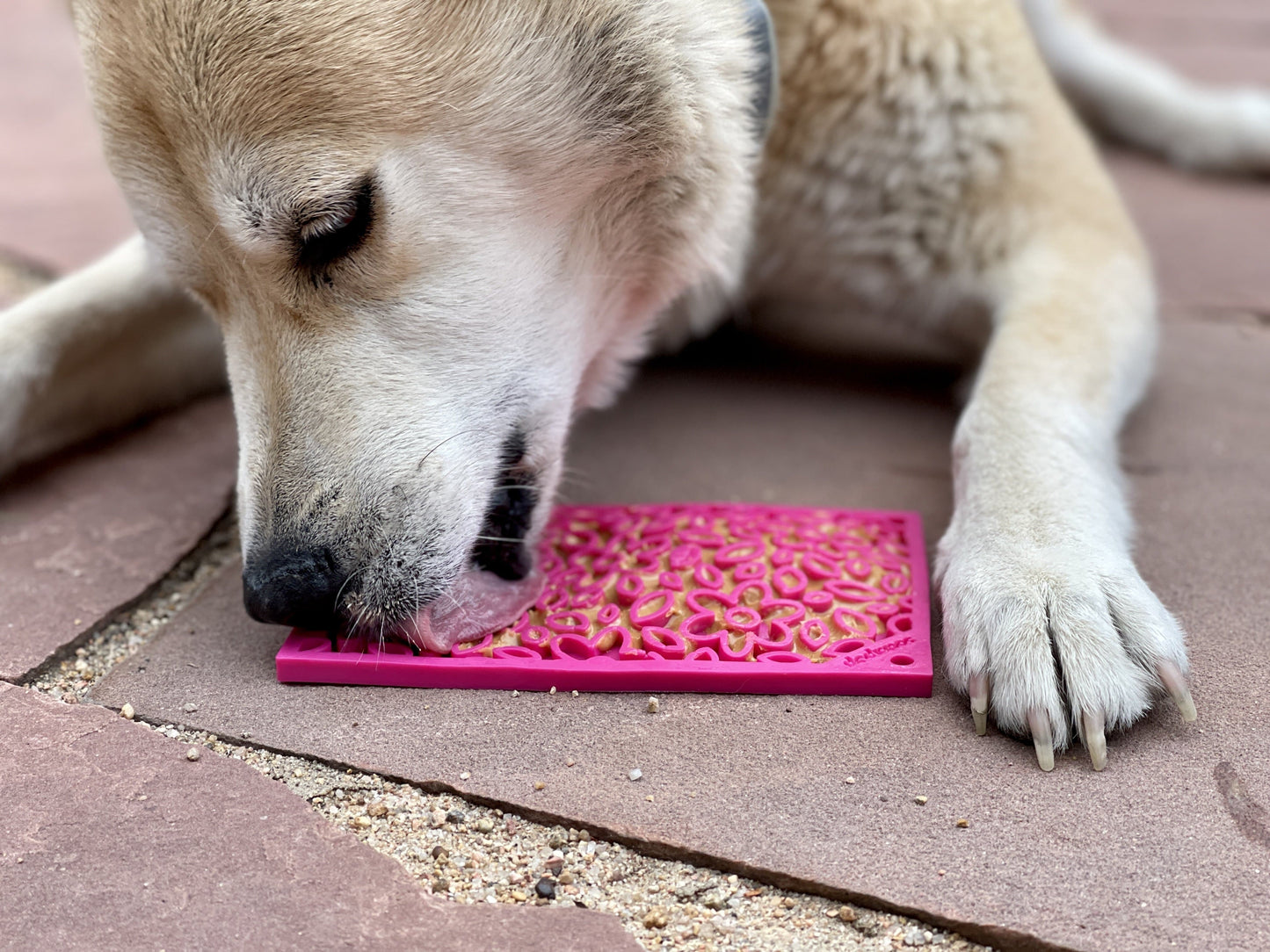 Flower Power Emat Enrichment Lick Mat For Dogs And Cats USA - gallery image 8