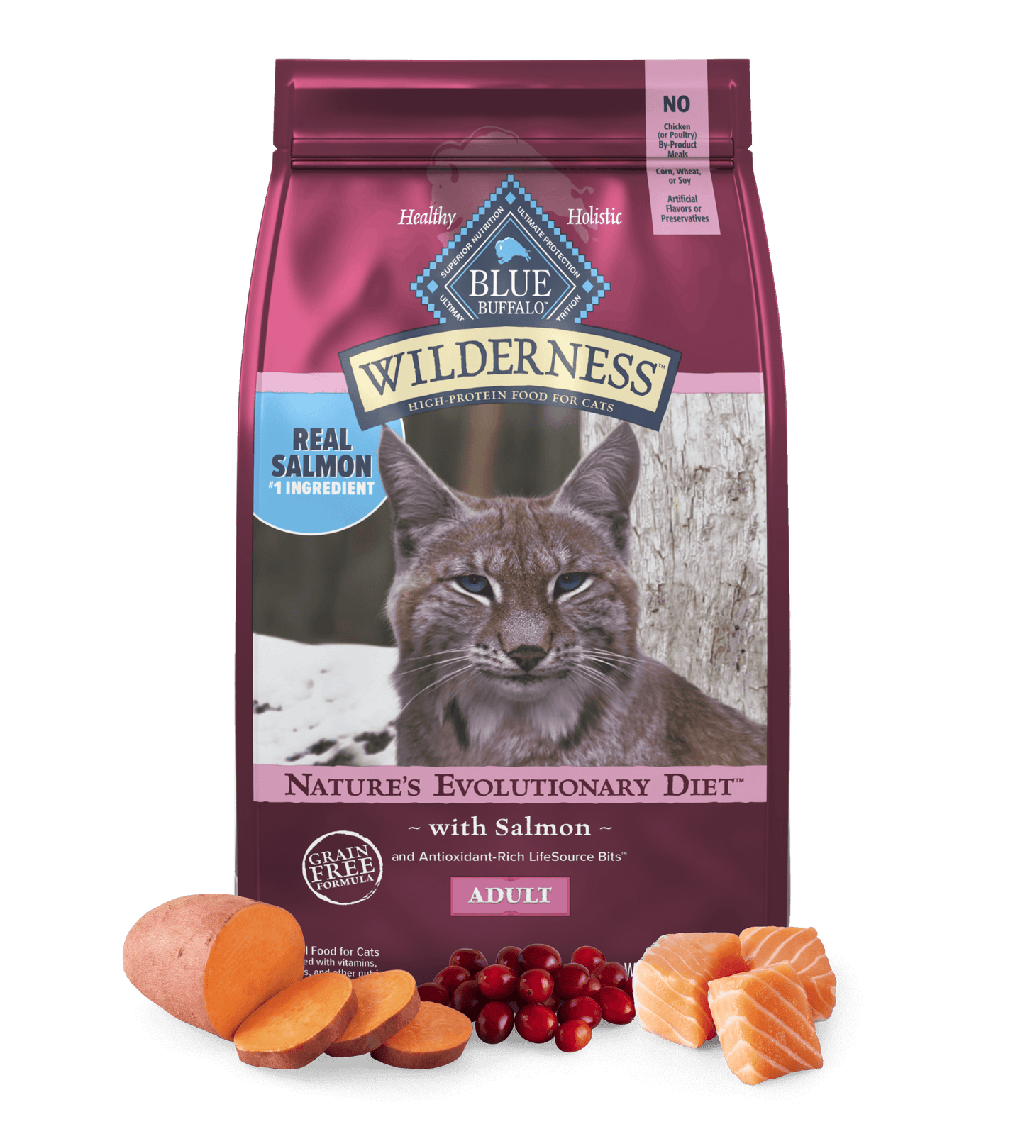 Dry Cat Food Blue Buffalo Salmon Recipe 5lb Daily Meals - main product image