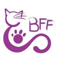 BFF