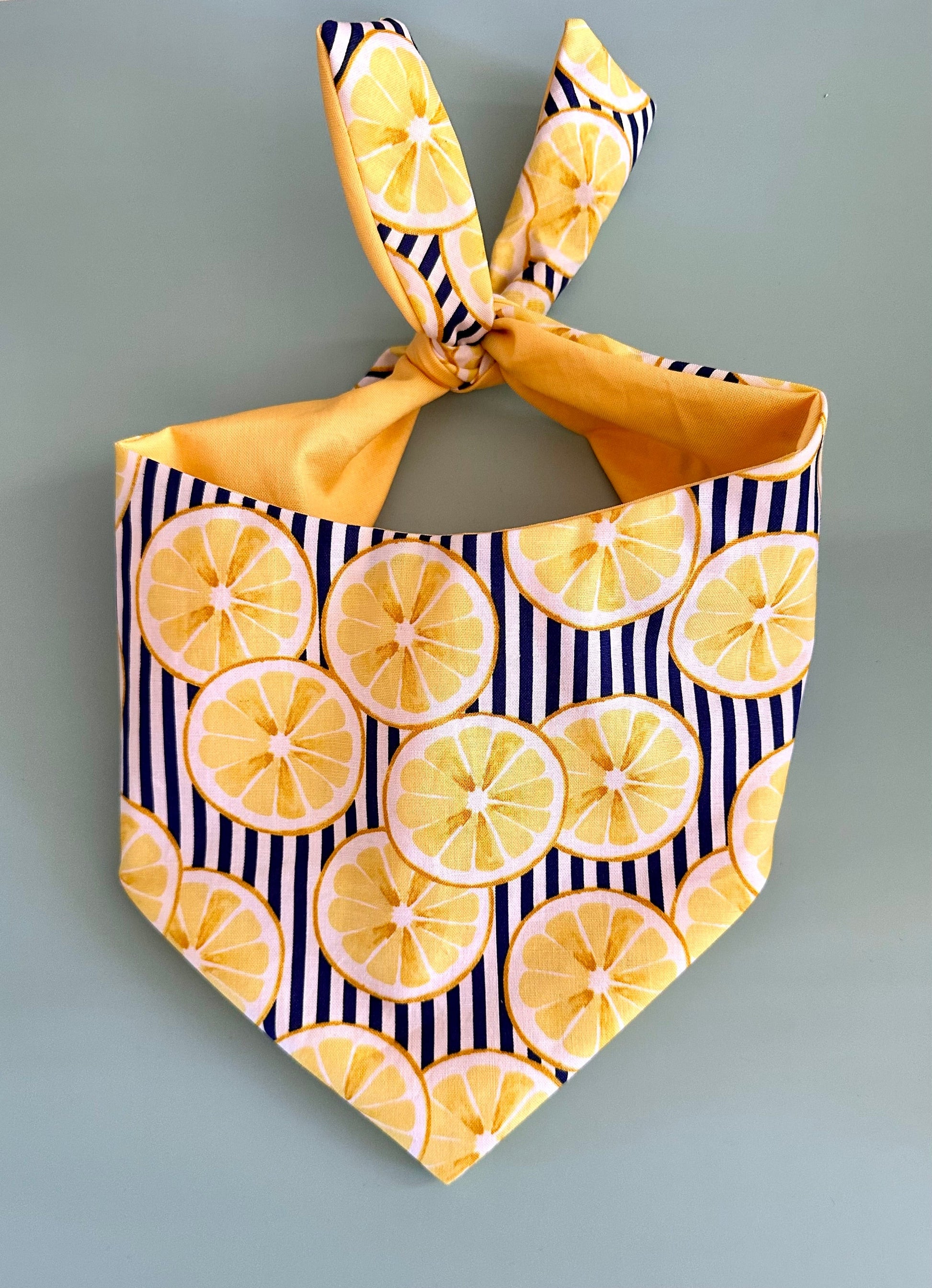 Lemon Dog Bandana - detail view