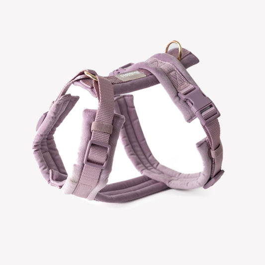 Lilac - Velvet Dog Harness - main product image