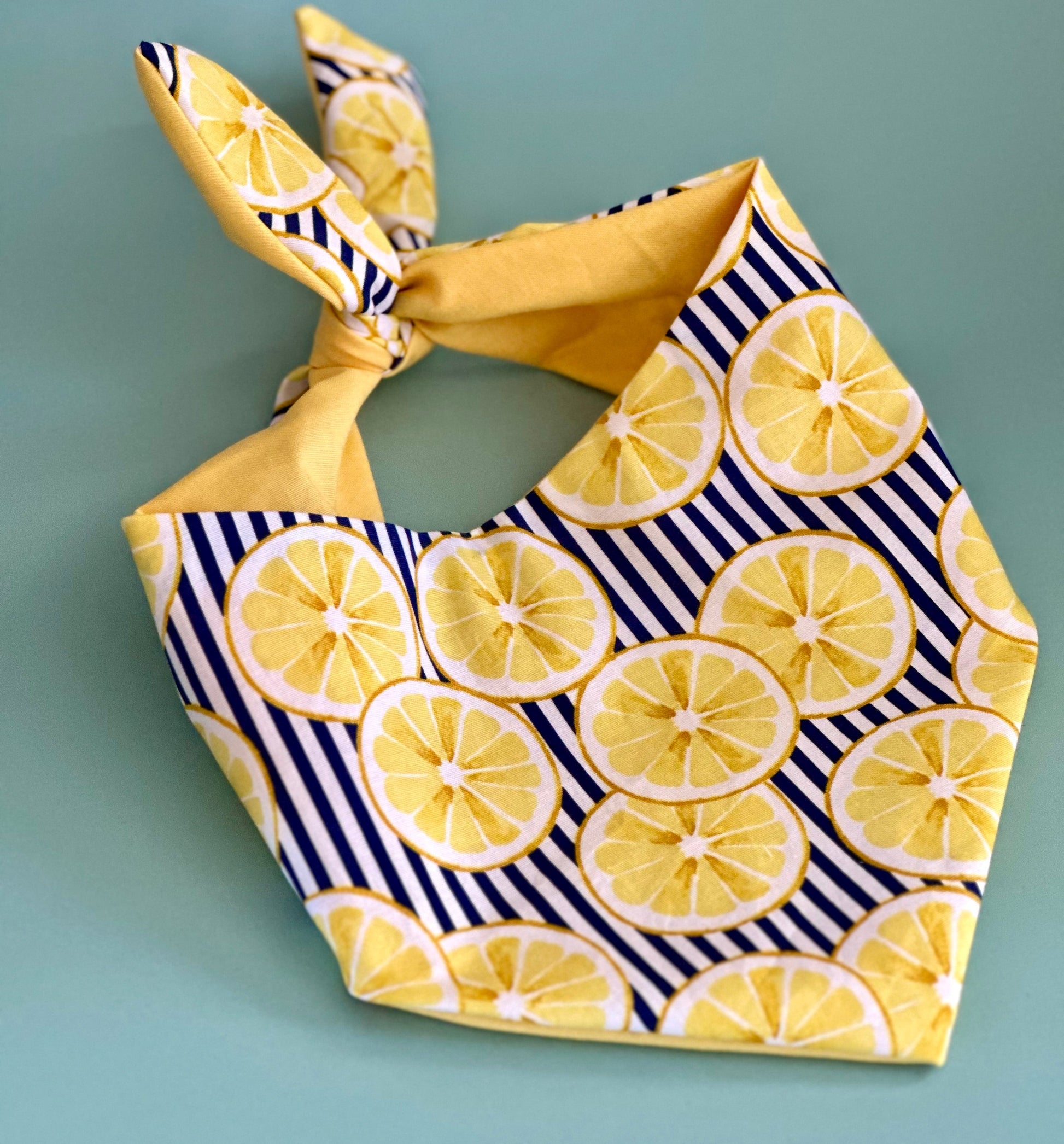 Lemon Dog Bandana - close up view