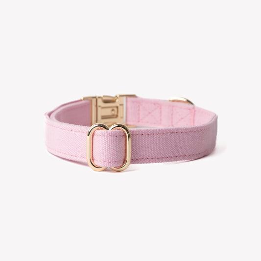 Dog Collars 'Pink' Canvas Dog Collar Premium Pet Supply - detail view