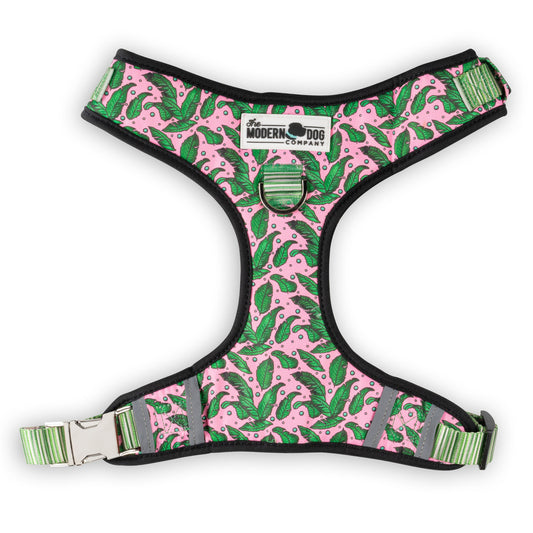 Dog Harness Harness Pink Tropics Adjustable Walking Harness - main product image for dog harness
