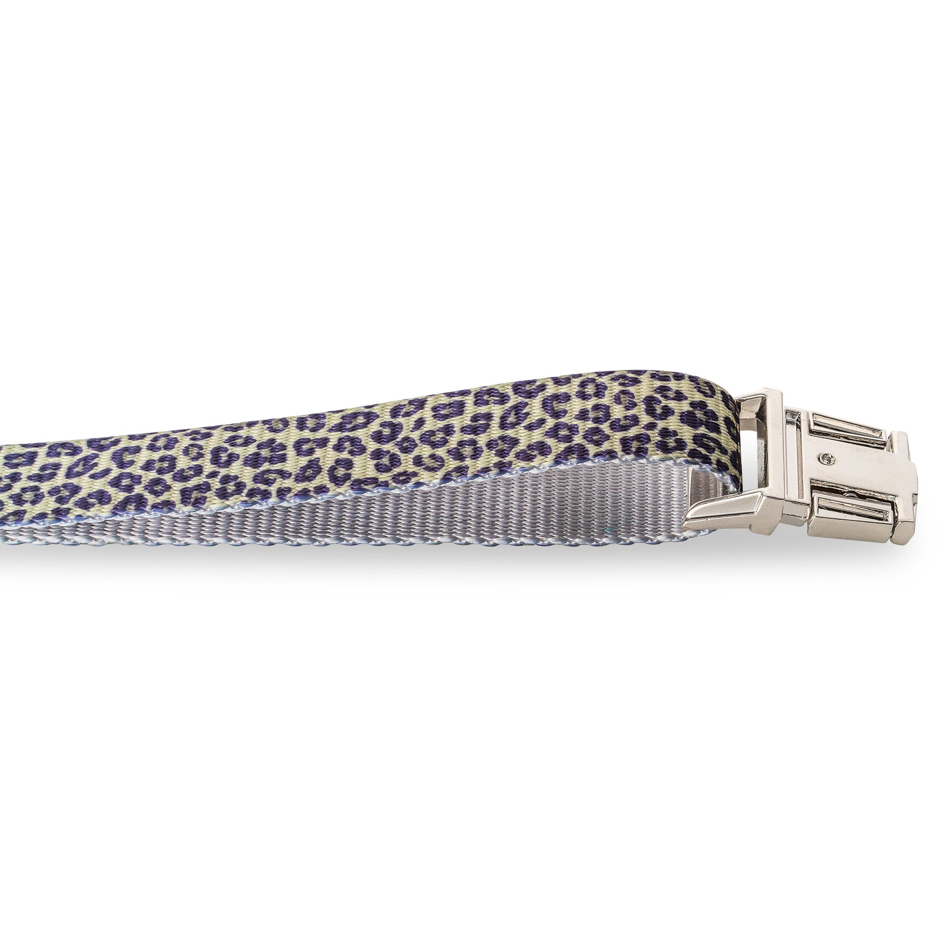 Dog Collar Accessory Walk on the Wild Side Essentia Everyday - lifestyle product image for dog collar