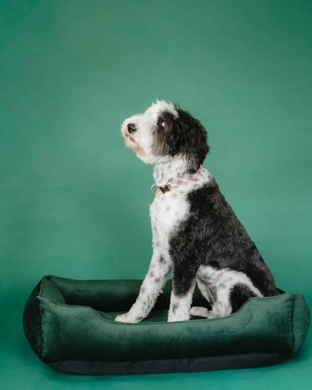 Luxury Dog Bed Classic Velvet Sleeper Green for Comfort, Sup - luxury dog bed view 5 for comfort and support