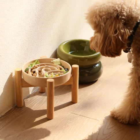 Wave Slow Feeder Dog Bowls Pink Beige Orange Pet Feeding - lifestyle view for Pet Feeders & Bowls